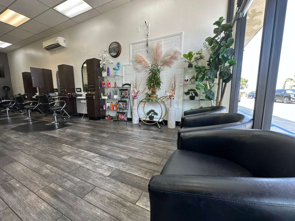 Luxury Salon Interior