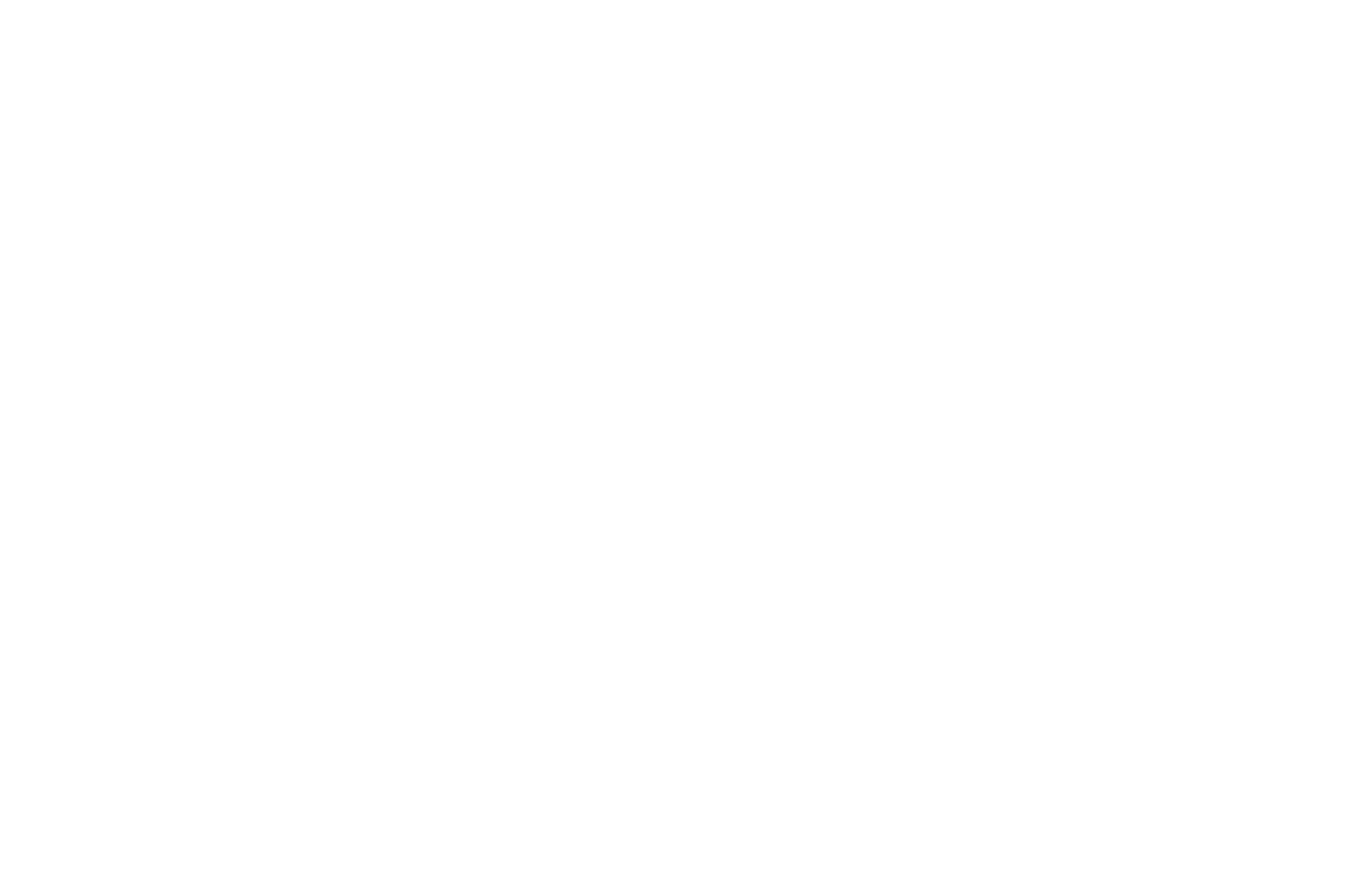 Salon Logo